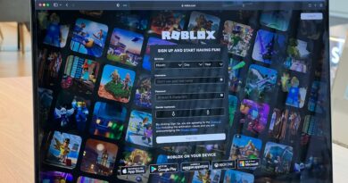 Sandbox computer games