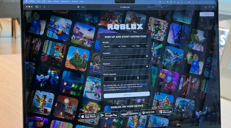 Sandbox computer games