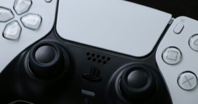 Playstation Dualsense